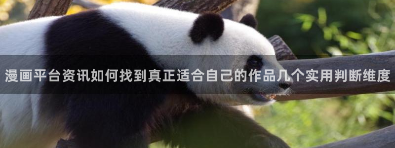 漫画岛收藏榜：漫画平台资讯如何找到真正适合自己的作品几个实用判断维度