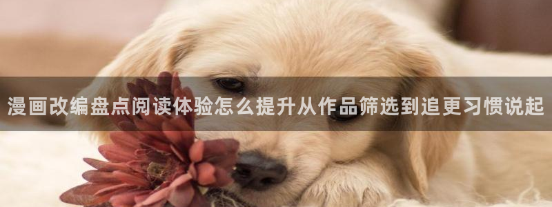 漫画岛阅读:漫画改编盘点阅读体验怎么提升从作品筛选到追更习惯说起