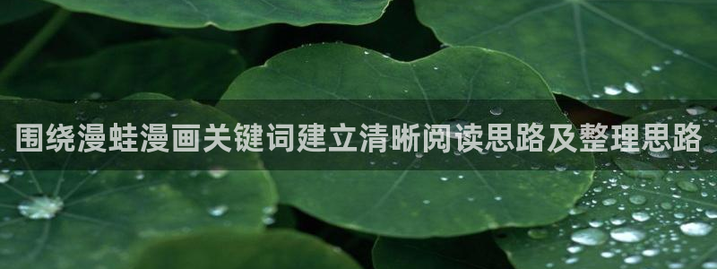 漫画岛网站地址:围绕漫蛙漫画关键词建立清晰阅读思路及整理思路